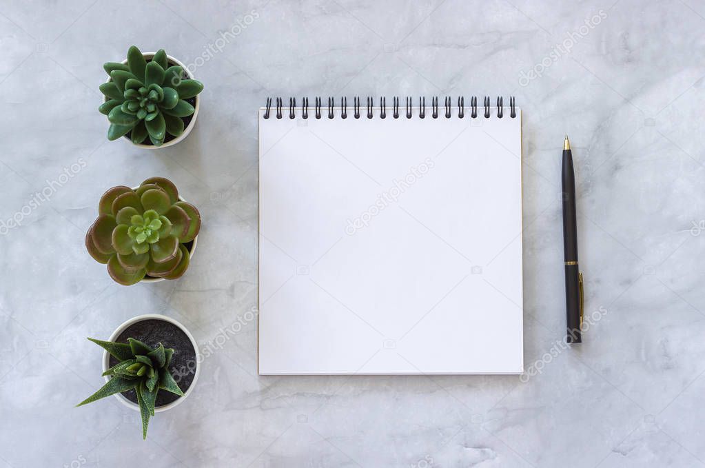 Three succulents and white open blank notebook, pen on marble table background. Top view Mock up Flat lay Template for your text, design