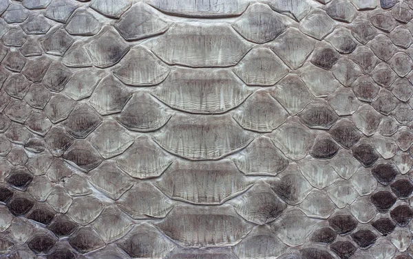 Snake Leather als achtergrond of textuur. — Stockfoto