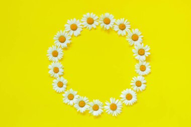 Çiçek bileşimi. Sarı arka planda çiçekler papatya çerçeve çiçek yuvarlak çelenk. Yukarıdan aşağıya kompozisyon