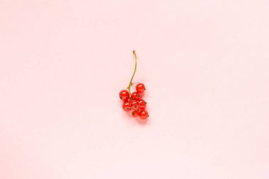 Minimal stilde pastel pembe kağıt arka planda kırmızı frenk üzümü berry Sprig Yazı, metin veya tasarım Creative Flat lay Top view için alan Şablon