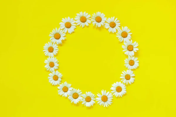 Composición floral. Marco floral corona redonda de flores de manzanilla sobre fondo amarillo. Composición descendente — Foto de Stock
