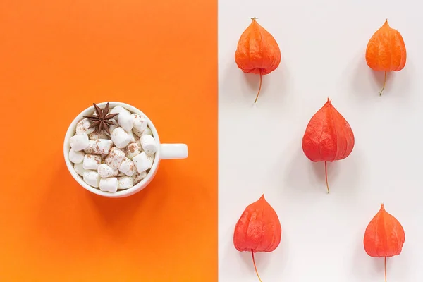 Sonbahar kompozisyonu. Marshmallow ve portakal ve bej arka plan metin için kopya alanı ile Physalis sonbahar kurutulmuş kırmızı çiçekler ile kakao Fincan. Üstten düz yatıyordu — Stok fotoğraf