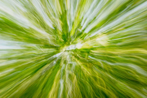 Abstract natural background.  Blur and light painting with crown — Stock Photo, Image