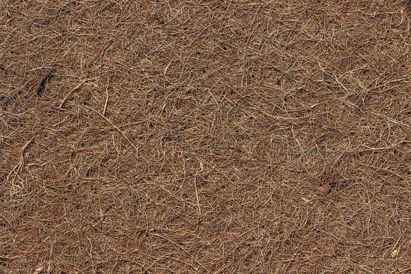 마른 압착 코코넛 섬유로 만든 매트리스의 표면. 백그로 (주) — 스톡 사진