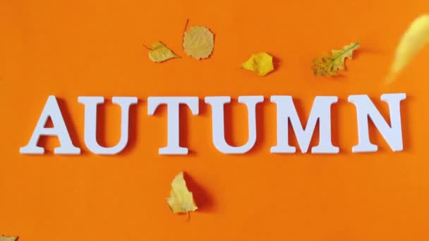 Herbstkomposition. Text Herbst aus weißen Buchstaben und fallenden gelben Blättern auf orangefarbenem Papier Hintergrund. Konzept hallo Herbst. kreative Draufsicht flach legen Kopierraum — Stockvideo