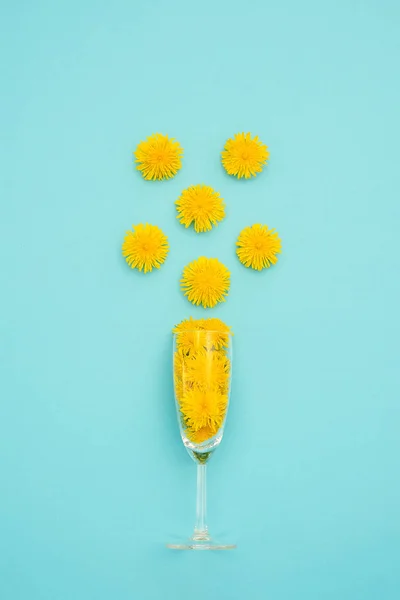 Glass wine with yellow dandelions flowers on blue background. Concept dandelion wine, health care, herbal medicine or homeopathy. Copy space Creative Top view Template for postcard, text, design