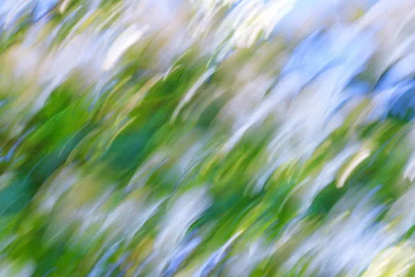 Abstract natural background with motion and blur effect. — Stock Photo, Image