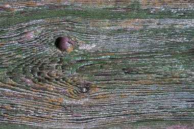 Arka plan veya doku olarak yeşil ve kahverengi boya soyma ile eski ahşap tahta.