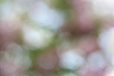 Soyut doğa bokeh arkaplanı