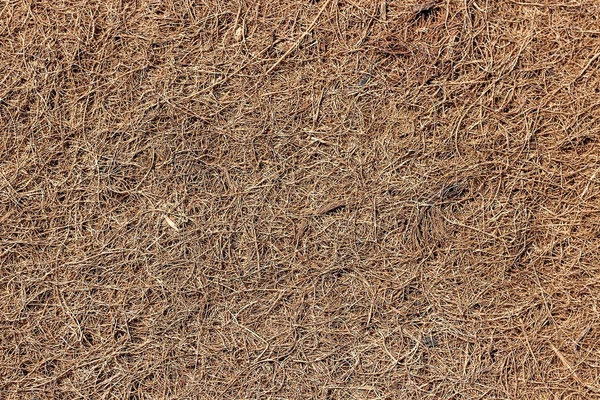 背景として茶色のココナッツコイア表面 — ストック写真