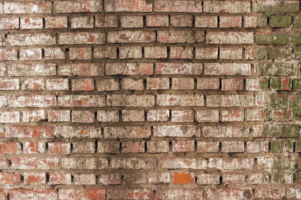Alte Ramponierte Ziegelmauer Mit Spuren Alter Farbe — Stockfoto