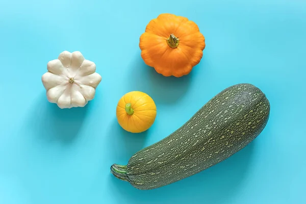 Colheita de diferentes vegetais coloridos cabaças abóbora, abobrinha, abóbora pattypan no fundo azul. Vista superior Flat lay — Fotografia de Stock