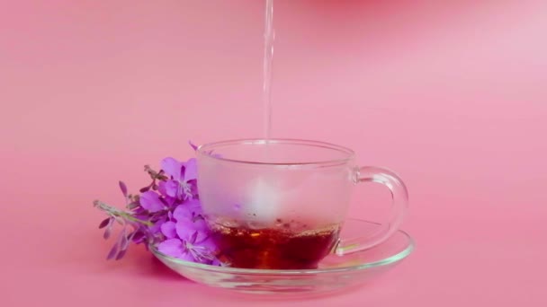 Горячий Цветочный Чай Наливая Стеклянную Чашку Розовом Фоне Близкий Вид — стоковое видео
