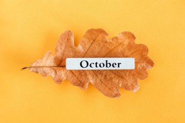 Takvim ay Ekim sarı arka plan üzerinde sonbahar meşe yaprağı üzerinde. Üstten görünüm Kopya alanı Düz yatıyordu Minimal tarzı. Tasarım, tebrik kartı için Concept Hello Ekim Şablonu