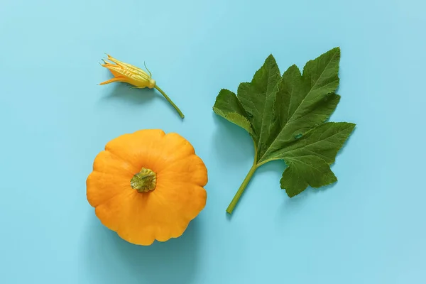 Φρέσκο πορτοκαλί πατιπάν σκουός με πράσινο φύλλο και λουλούδι σε μπλε φόντο. Ιδέα οργανικό θάμνο κολοκύθα φυτό. Αντιγραφή χώρου επάνω όψη επίπεδη θέση — Φωτογραφία Αρχείου