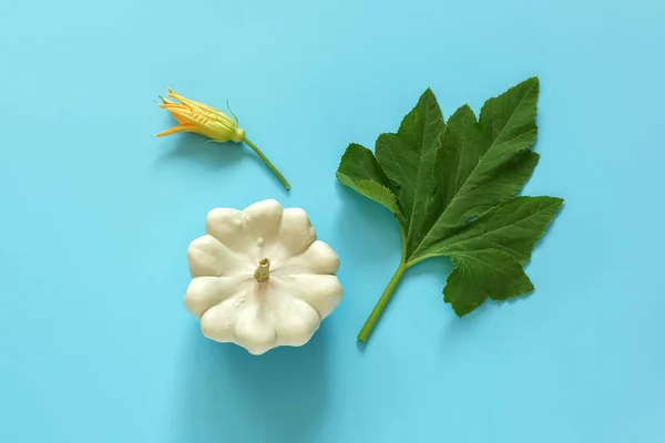 Courge pattypan blanche fraîche avec feuille verte et fleur sur fond bleu. Concept Légume de citrouille de brousse biologique. Espace de copie Vue de dessus Pose plate — Photo