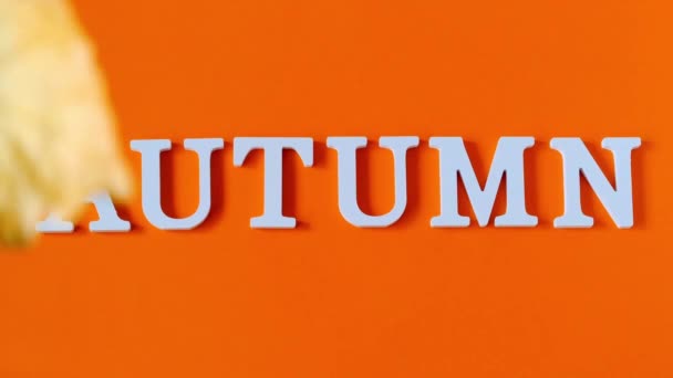 가을 구성. 흰색 글자에서 텍스트 가을과 오렌지 종이 배경에 떨어지는 노란색 잎. 개념 안녕하세요 가을. 크리에이티브 탑 뷰 플랫 레이 카피 공간 — 비디오