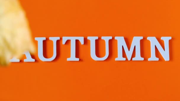 Herfst samenstelling. Tekst herfst van witte letters en vallende gele blad op oranje papier achtergrond. Concept Hello Fall. Creative Top View platte lay-out kopiëren ruimte — Stockvideo