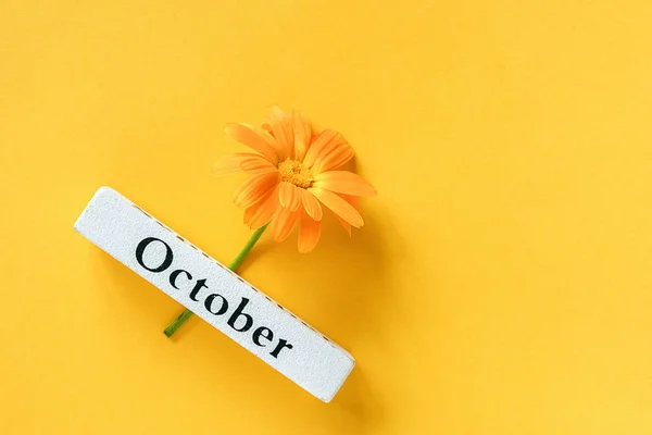 Eine orange Ringelblume und ein kalendarischer Herbstmonat Oktober auf gelbem Hintergrund. Kopierraum von oben flach legen minimalen Stil. Konzept hallo Oktober Vorlage für Ihr Design, Grußkarte — Stockfoto