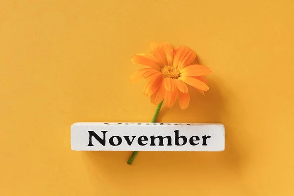 Jeden pomarańczowy kwiat nagietka i jesień kalendarzowa miesiąc Listopad na żółtym tle. Widok z góry Kopiuj przestrzeń Flat lay Minimalny styl. Concept Hello November Szablon dla Twojego projektu, kartka okolicznościowa — Zdjęcie stockowe
