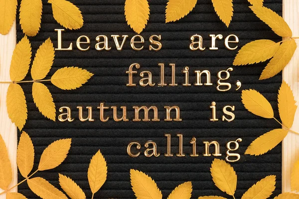 De bladeren vallen, de herfst roept. Motief citaat op brievenbord en gele herfstbladeren, close-up. Top view Flat lay Copy space Concept inspirerende quote van de dag — Stockfoto