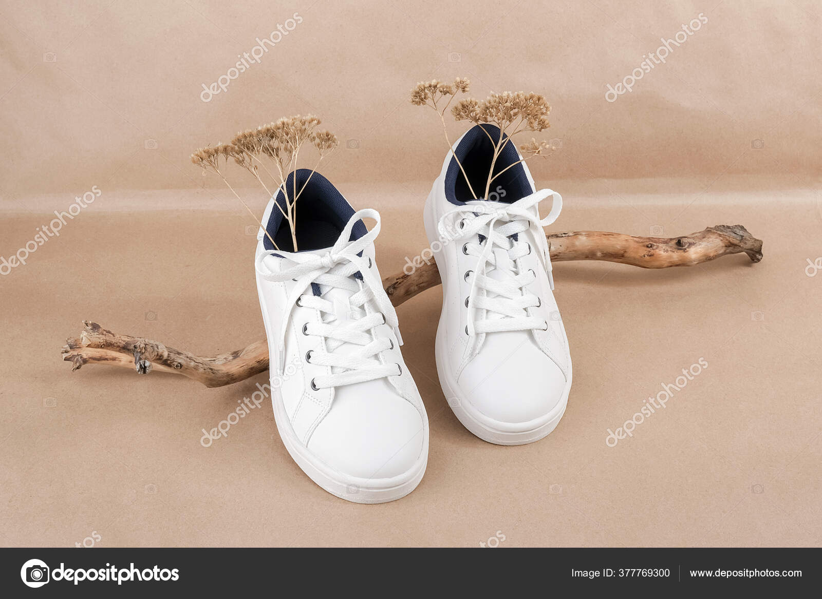 genert forberede Luftpost Ethical Vegan Shoes Concept Pair White Sneakers Wooden Snag Neutral Stock  Photo by ©ikrolevetc 377769300