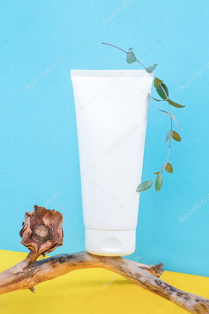 One white blank cosmetic tube bottle on wooden stick with dried flowers and eucalyptus branch in corner space on blue yellow background. Mockup Front view Copy space.
