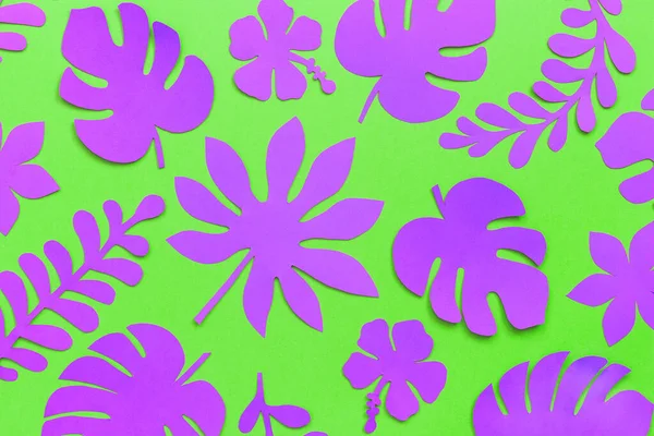 Tropical leaves pattern. Purple tropical leaves of paper on green background. Flat lay, top-down composition, creative paper art.