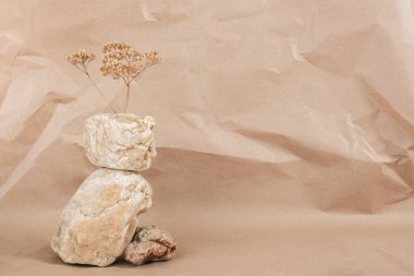 Bej arka planda dengeleyici taşlar ve kuru çiçekten oluşan bir yerleşim yeri. Ön görünüm Boşluğu Kopyala Monochrom.