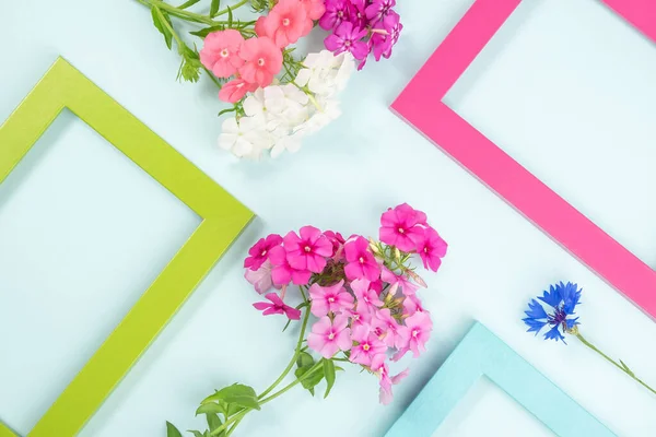 Layout Criativo Feito Flores Quadros Coloridos Brilhantes Flat Lay Visão — Fotografia de Stock