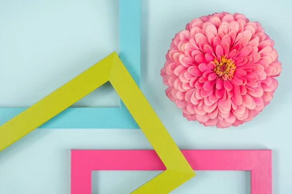 Composition créative composée d'une fleur et de cadres de couleur vive. Flat lay Vue de dessus — Photo