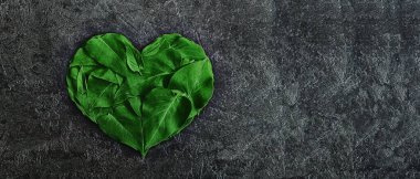 Kalp şeklinde kara bir arka plandaki yapraklar, Sevgililer Günü için aşkın sembolü. Kopyalama alanı olan yaratıcı bir düzen. Düz yatıyordu. Kalp şeklinde. Aşk konsepti