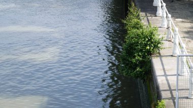 Nehir kıyısı Antwerp, Belçika.