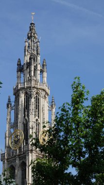 Our Lady Antwerp, Belçika Katedrali.