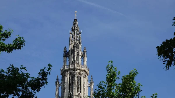 Katedralen Our Lady Antwerpen Belgien — Stockfoto