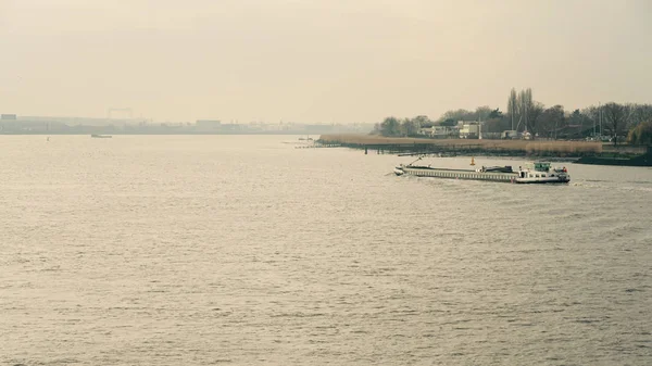 Річка Schelde Антверпені Бельгія — стокове фото