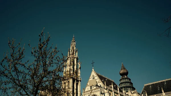 Catedral Antuérpia Bélgica — Fotografia de Stock