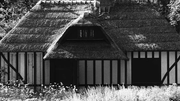 Domek Lesie — Zdjęcie stockowe