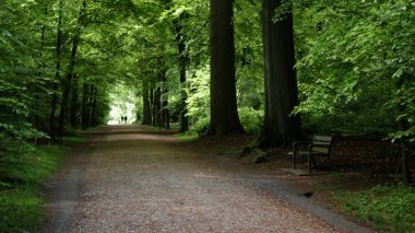 bir yolu bir parkta antwerp, Belçika.