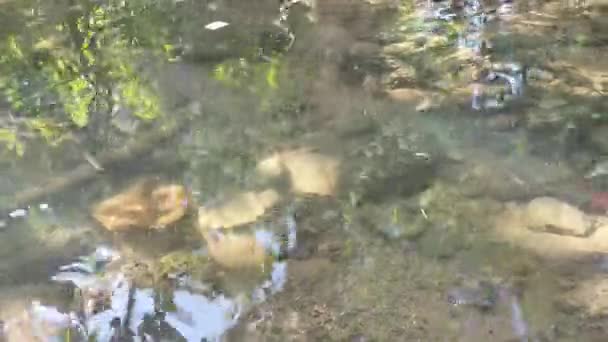 l'eau coule dans une petite rivière avec un soleil éclatant 