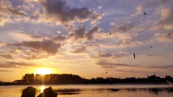 Belo Pôr Sol Praia Com Muitos Papagaios Céu — Vídeo de Stock
