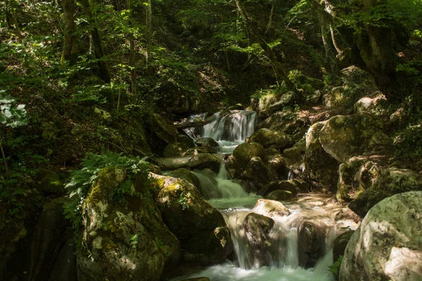 Ormanda küçük bir şelale