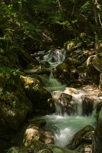 Ormanda küçük bir şelale