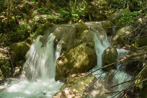 Ormanda küçük bir şelale