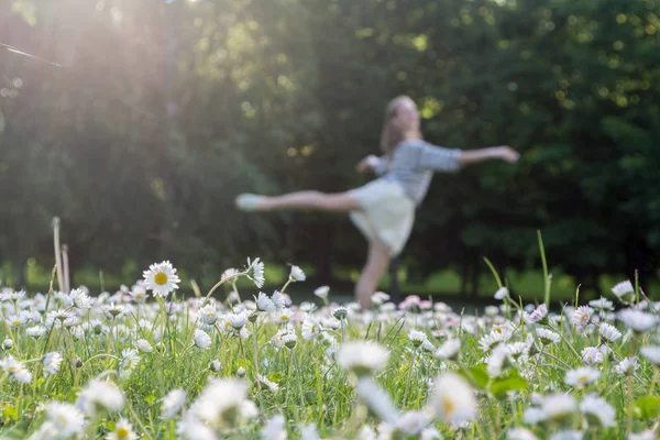 開花。カモミール。開花カモミールフィールド、夏の草原にカモミールの花、バクグラウンドのバレエダンサー、選択的な焦点 — ストック写真