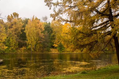 Göletli güzel sonbahar parkı