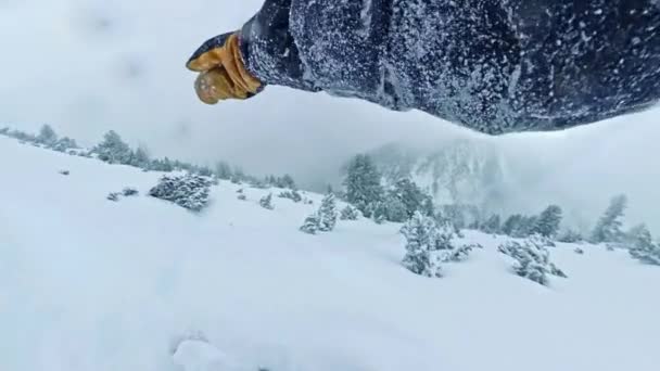 POV Snowboard masculino cavaleiro deslizando para baixo uma montanha árvores inverno esporte liberdade natureza neve lazer 360 grande ângulo lento movimento 8k hdr — Vídeo de Stock