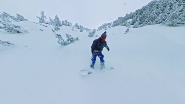 Snowboarder rutscht einen Hang hinunter Bäume Winter Sport Freiheit Natur Schnee Freizeit 360 Weitwinkel Slow Motion 8k Hdr — Stockvideo