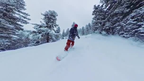 Homem em Snowboard Sliding Downhill Woods Inverno Recreação Liberdade Natureza Neve Lazer 360 amplo ângulo lento movimento 8k Hdr — Vídeo de Stock