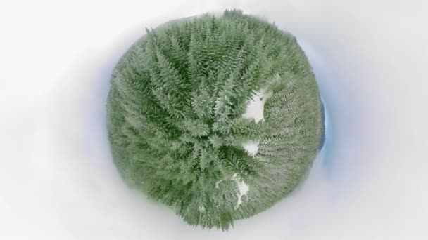 Widok z lotu ptaka 360 Drone przelatujące nad zniekształconym mglistym lasem podczas zimowego dnia Turystyka Zima Natura Styl życia 360 szerokokątny wolny ruch 8k Hdr — Wideo stockowe